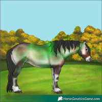 Horse Color:Brown Onyx 