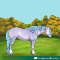 Horse Color:Watercolor Brown Onyx Rabicano
