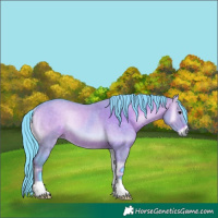 Horse Color:Watercolor Brown Onyx Rabicano 