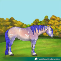 Horse Color:Watercolor White Spotted Bay Onyx Rabicano 