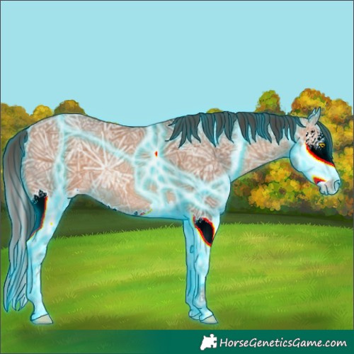 Horse Color:Thunderstruck Amber Champagne Ice Splash
