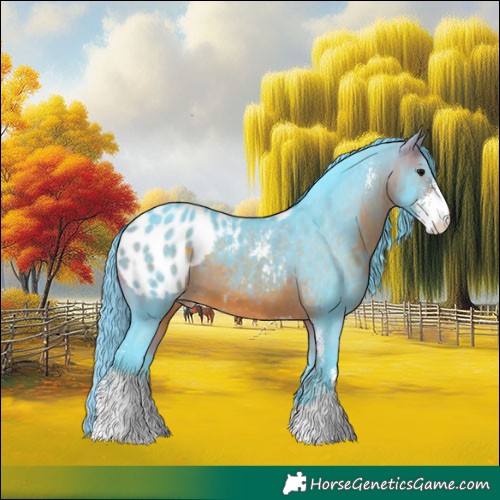 Horse Color:Watercolor Bay Sabino Appaloosa 