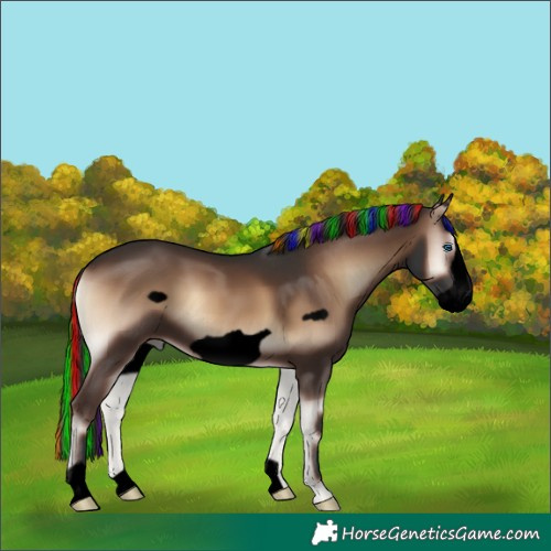 Horse Color:Void Painted Liver Red Onyx Frame 