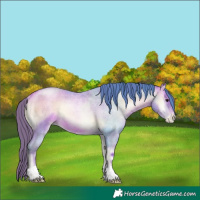 Horse Color:Watercolor Brown Roan Pearl Onyx Rabicano 