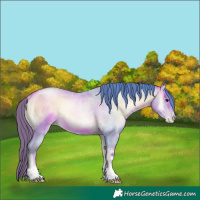 Horse Color:Watercolor Brown Roan Pearl Onyx Rabicano 