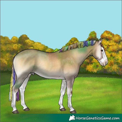 Horse Color:Painted Chocolate Palomino Onyx Splash 