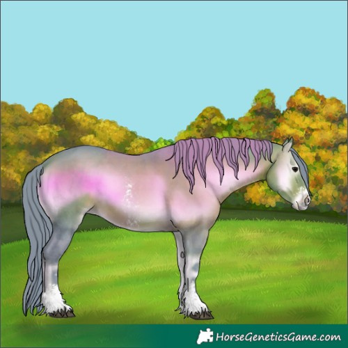 Horse Color:Watercolor Bay Onyx Sabino 