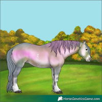 Horse Color:Watercolor Bay Onyx Sabino