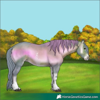 Horse Color:Watercolor Bay Onyx Sabino 