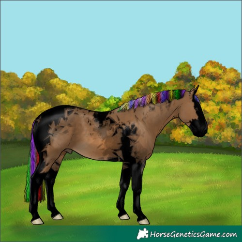 Horse Color:Void Painted Chocolate Palomino Splash Tobiano 