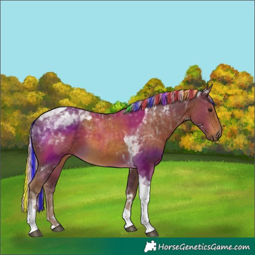 Horse Color:Painted Chocolate Palomino Tobiano 