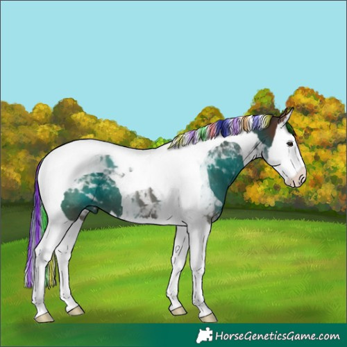 Horse Color:Painted Liver Chestnut Splash Tobiano 