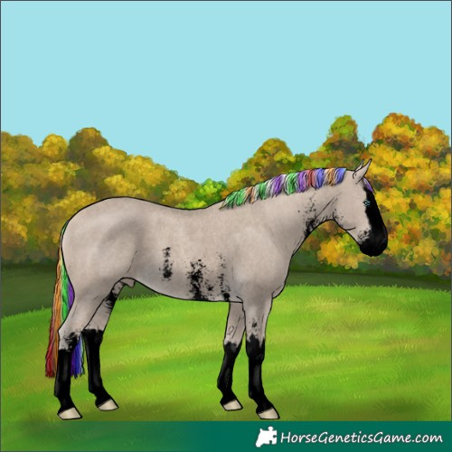 Horse Color:Void Painted Cremello Sabino Splash 