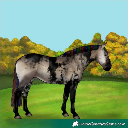 Horse Color:Void Painted Brown Onyx Sabino Tobiano Rabicano 
