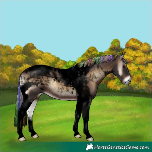 Horse Color:Void Painted Silver Brown Onyx Tobiano