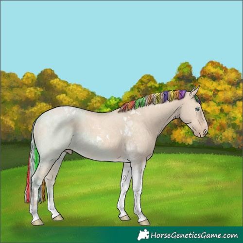 Horse Color:Painted Perlino Dun Tobiano 