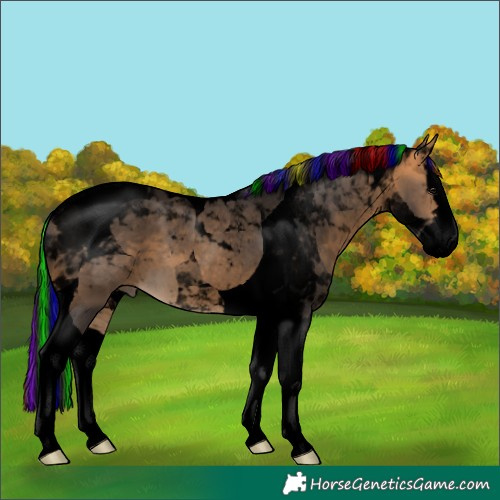 Horse Color:Void Painted Buckskin Splash Tobiano 