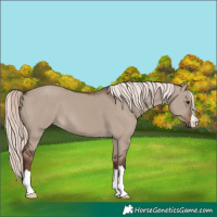 Horse Color:Liver Red Dun Mushroom 