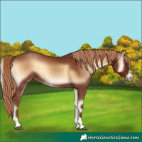 Horse Color:Red Onyx