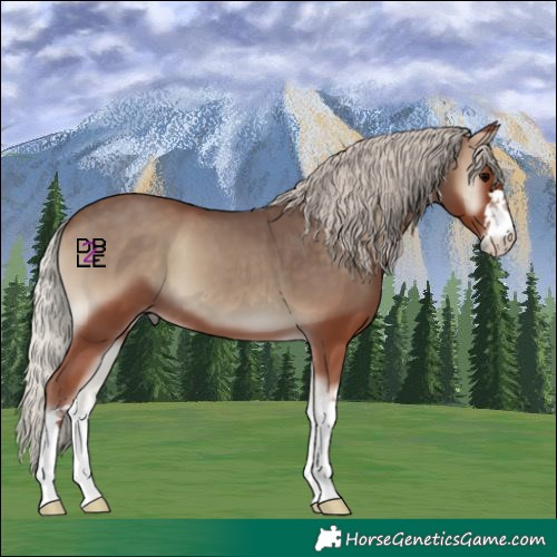 Horse Color:Silver Blue Onyx 