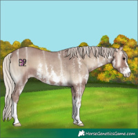 Horse Color:Silver Blue Onyx Ice Sabino Rabicano