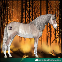 Horse Color:Silver Blue Onyx Ice Sabino Rabicano 