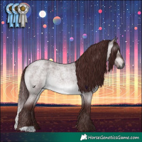Horse Color:Gray Platinum Chocolate Brown Roan Dun 