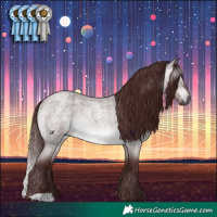 Horse Color:Gray Platinum Chocolate Brown Roan Dun 