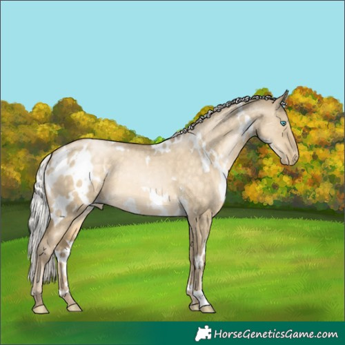 Horse Color:White Spotted Silver Buckskin Pearl Dun 