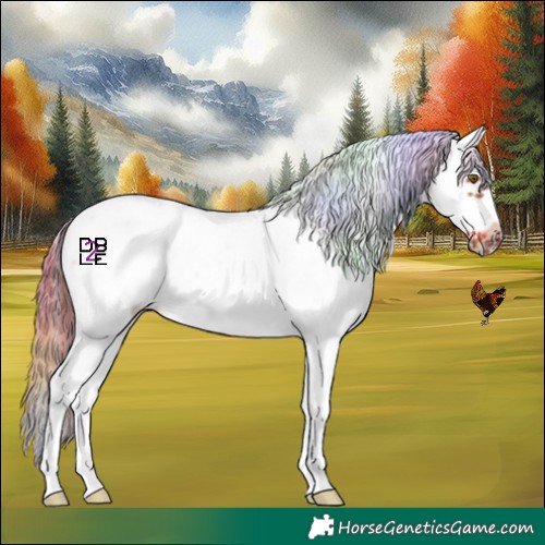 Horse Color:Nacre Chestnut Sabino Splash Frame 