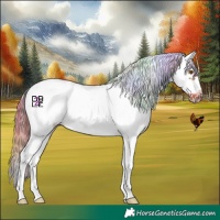Horse Color:Nacre Chestnut Sabino Splash Frame 