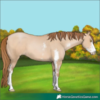 Horse Color:Brown Pearl Dun Sabino