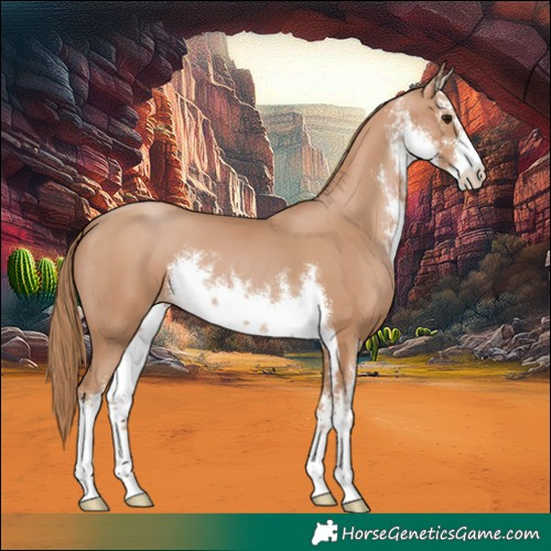 Horse Color:White Spotted Chocolate Black Pearl 