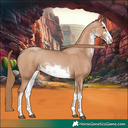 Horse Color:White Spotted Chocolate Black Pearl 