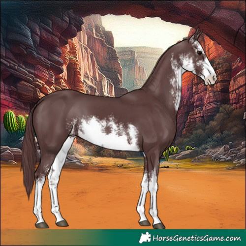 Horse Color:White Spotted Chocolate Black 