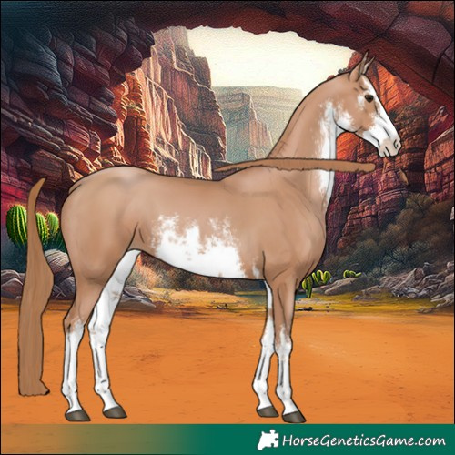Horse Color:White Spotted Chocolate Black Pearl 