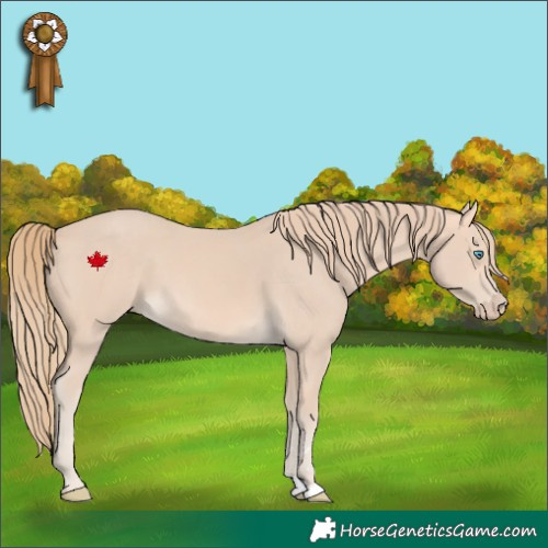 Horse Color:Perlino 