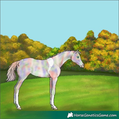 Horse Color:Nacre Smoky Creme Tobiano 