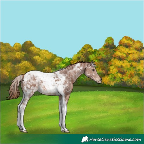 Horse Color:Chestnut Ice Tobiano 