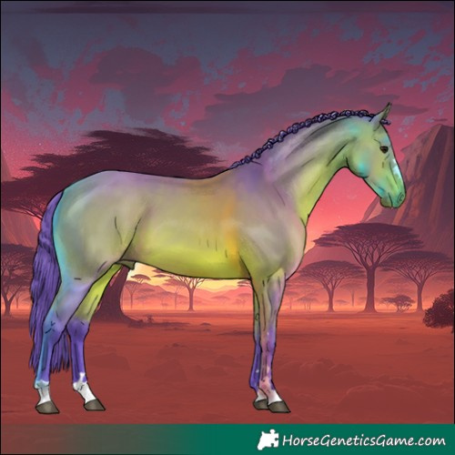 Horse Color:Watercolor Bay 