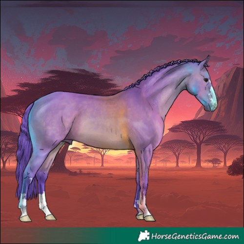 Horse Color:Watercolor Bay 