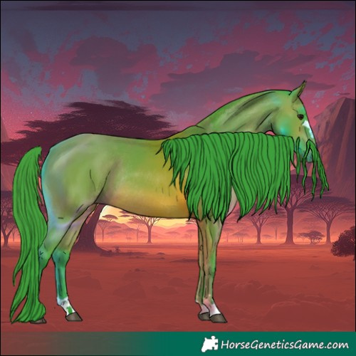 Horse Color:Watercolor Bay Rabicano 