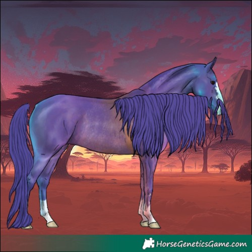 Horse Color:Watercolor Brown Rabicano 