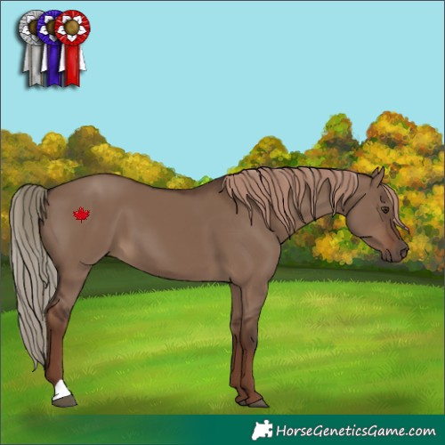 Horse Color:Liver Red Dun 
