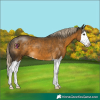 Horse Color:Chocolate Palomino Mushroom Splash 