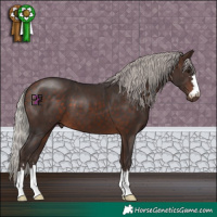 Horse Color:Silver Bay 