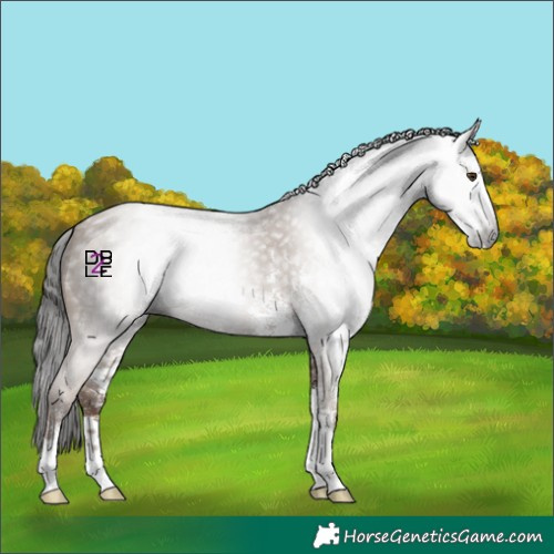 Horse Color:Gray Classic Champagne Sabino 