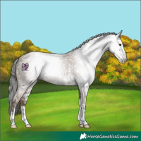 Horse Color:Gray Classic Champagne Sabino 