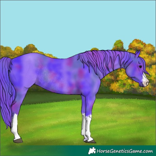 Horse Color:Nacre Watercolor White Spotted Black Rabicano 