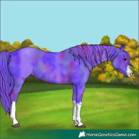 Horse Color:Nacre Watercolor White Spotted Black Rabicano